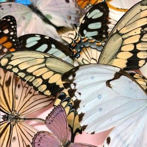 Trying to sell EVERYTHING in my closet